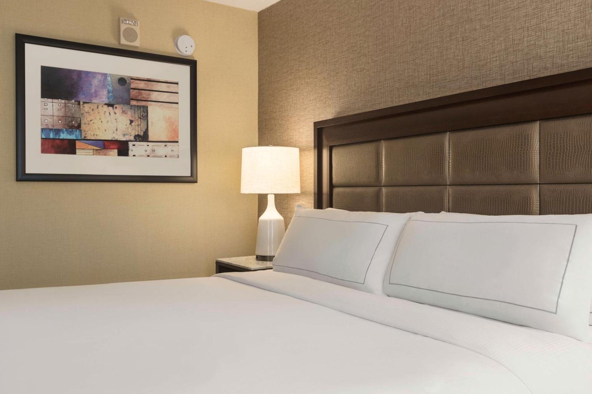 Hilton Tampa Downtown Ξενοδοχείο Εξωτερικό φωτογραφία